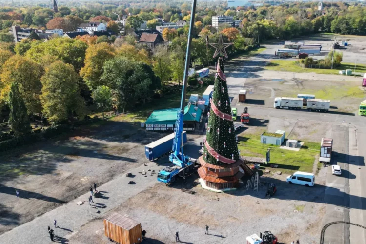 Der größte transportable Weihnachtsbaum der Welt wird aufgebaiut