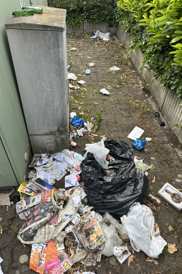 Verwahrloste Ecke in Herne: Stadtwerke ignorieren monatelang Beschwerden Offene Müllsäcke und verstreuter Abfall neben einem Stromkasten in einer zugewachsenen Gasse.