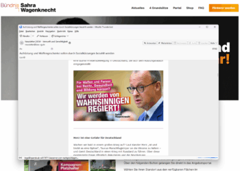 Screenshot eines Newsletters des BSW mit dem Slogan ‚Wir werden von Wahnsinnigen regiert!‘ und einem Porträt von Friedrich Merz.