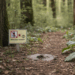 Ein Warnschild am Waldboden mit durchgestrichenem Piktogramm einer urinierenden Person und einer Zecke, Aufschrift: Wildpinkeln verboten! Ein Waldweg führt in den unscharfen Hintergrund.