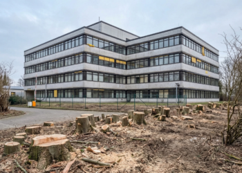 Nüchternes Gewerbegebäude hinter einer Reihe frisch gefällter Baumstümpfe auf gerodeter Fläche, dokumentarischer Stil.