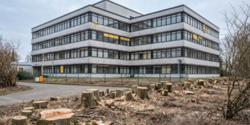 Nüchternes Gewerbegebäude hinter einer Reihe frisch gefällter Baumstümpfe auf gerodeter Fläche, dokumentarischer Stil.