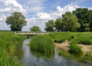 Wo ist Adolf Hitler begraben? Die Spur endet in der Ehle Die Schweinebrücke über die Ehle bei Biederitz: In der Umgebung sollen sowjetische Stellen im April 1970 die Asche der zuvor verbrannten sterblichen Überreste Adolf Hitlers und Eva Brauns verstreut haben.